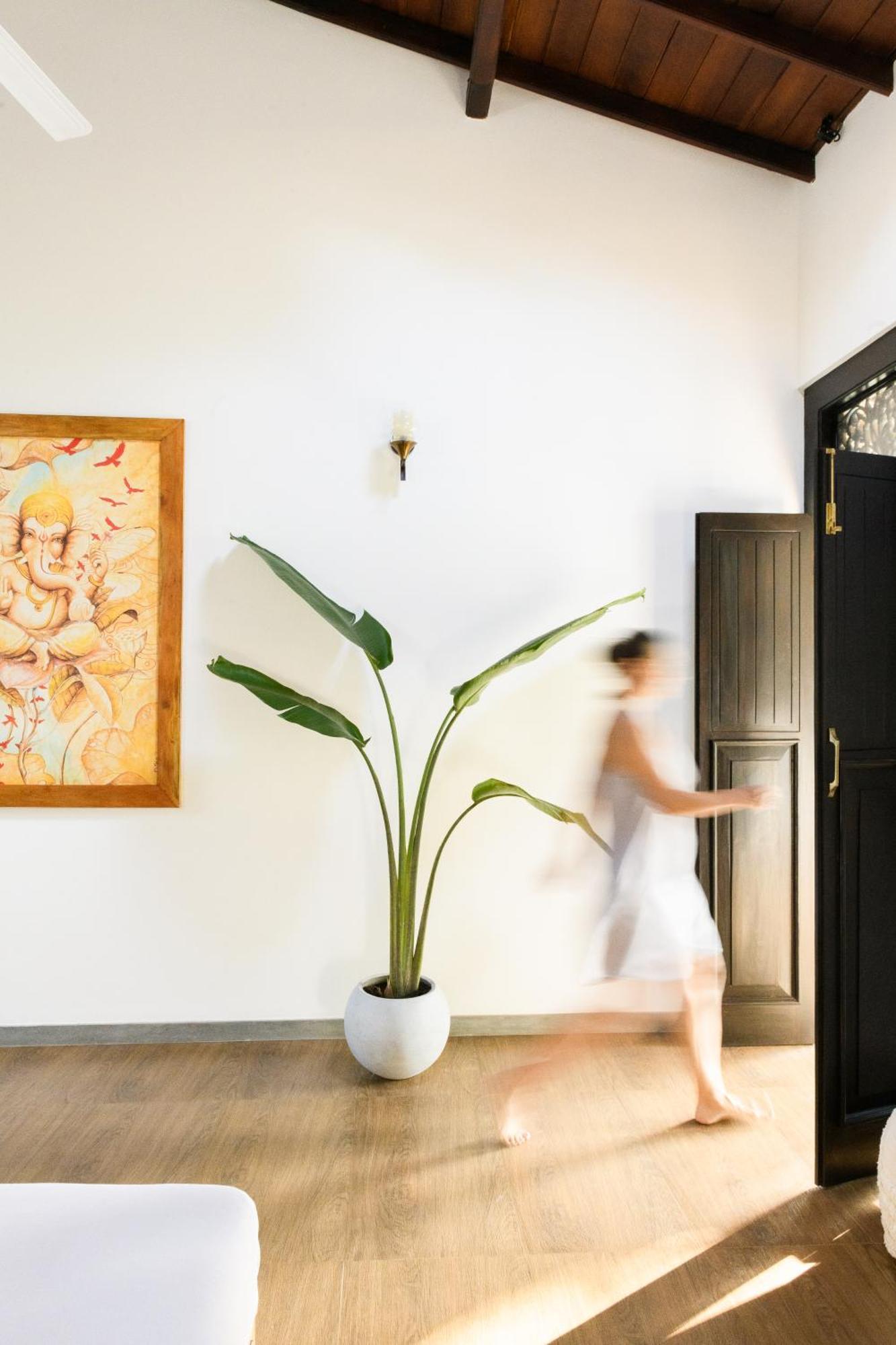 ホテル Roots Retreat ウナワトゥナ エクステリア 写真
